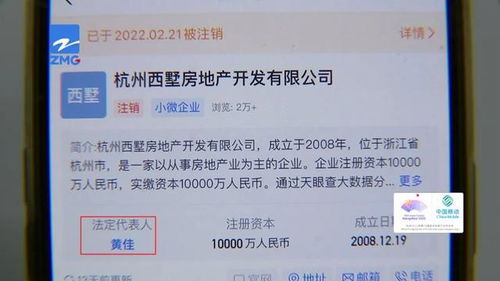 他家的柜子隔板，竟能實現手撕式受托寄賣？